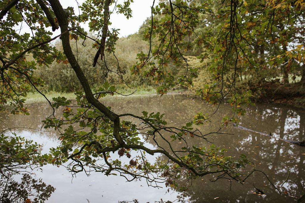 Familie-Hegerfeld-171019-68.jpg